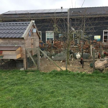 Hoeve Cornelia Berkel en Rodenrijs Exterior photo